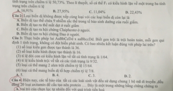 Hải Phòng: Nhiều lỗi trong đề thi khảo sát chất lượng học sinh THPT