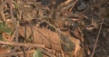 Xây dựng bản đồ bom mìn ở Việt Nam