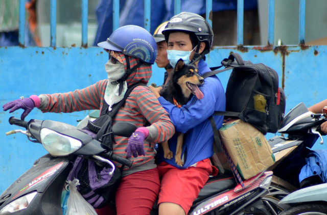 Trong d&ograve;ng người hối hả trở lại th&agrave;nh phố c&oacute; cả những nh&acirc;n vật đặc biệt n&agrave;y.