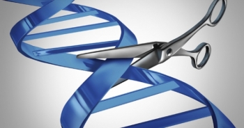 Đột phá: Chữa khỏi hoàn toàn bệnh AIDS bằng chỉnh sửa gen