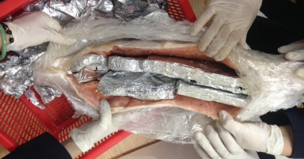 Phát hiện nữ hành khách cất giấu sản phẩm động vật quý hiếm trong bụng cá hồi chuyển lậu