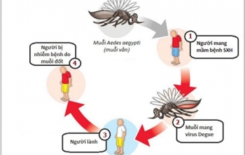 Gần 6.900 trường hợp mắc sốt xuất huyết trong tháng 4