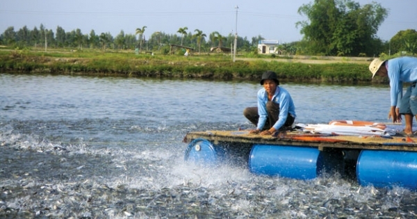 10 chính sách mới của Chính phủ có hiệu lực từ tháng 5/2017