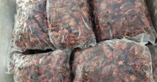 Nghệ An: Khám xe khách phát hiện số lượng lớn chim sẻ đã bốc mùi hôi thối