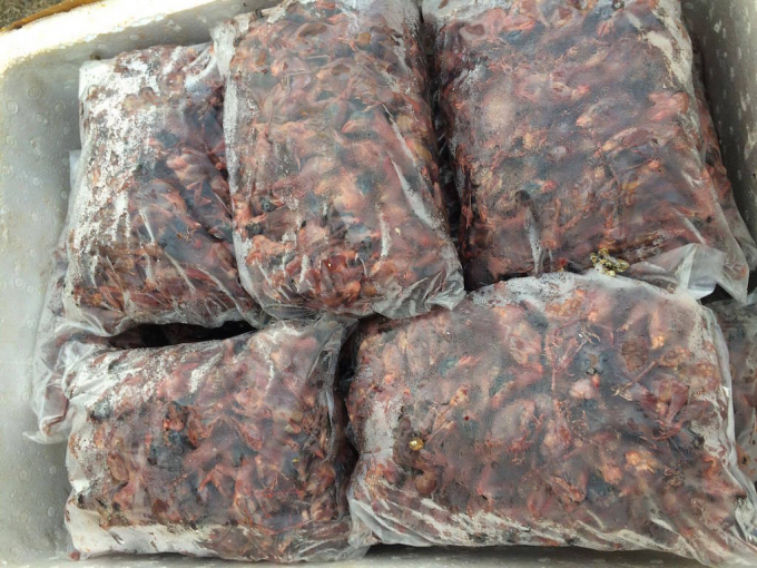 Số lượng lớn thịt chim sẻ được ph&aacute;t hiện tr&ecirc;n xe kh&aacute;ch trong t&igrave;nh trạng đ&atilde; bốc m&ugrave;i.