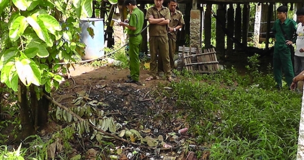 Đồng Tháp: Thanh niên “ngáo đá” tự thiêu