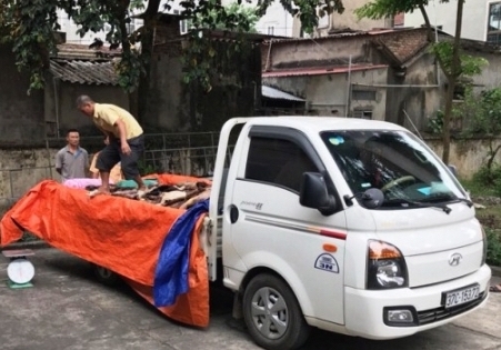 Nghệ An: Chở gần 1 tấn da thối đi tiêu thụ, bị phát hiện tài xế tăng ga bỏ chạy