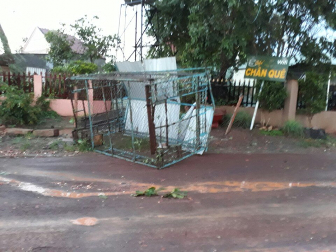 Gi&oacute; mạnh l&agrave;m