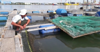 Bản tin Audio Pháp luật ngày 8/5: Hàng chục tấn cá nuôi trên sông chết hàng loạt chưa rõ nguyên nhân