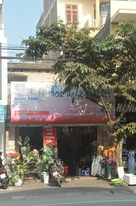 Suốt 30 năm qua, &ocirc;ng Dũng đi đ&ograve;i lại phần diện t&iacute;ch đất tại số 139 đường Điện Bi&ecirc;n 1, TP Hưng Y&ecirc;n.