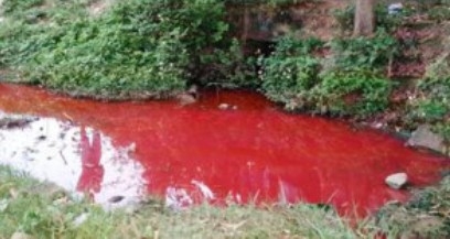 Thanh Hóa: Phát hiện nước xả thải doanh nghiệp đỏ như máu