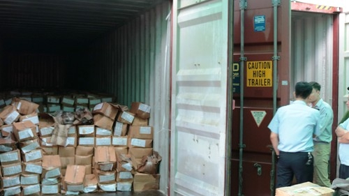 L&aacute; kh&aacute;t được đ&oacute;ng g&oacute;i chứa trong c&aacute;c container.