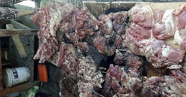 Hải Phòng: Bắt khẩn cấp hai đối tượng ném chất bẩn vào thịt lợn