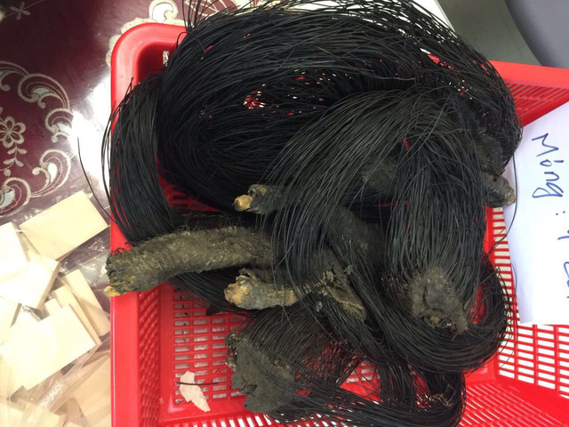 TP HCM: Ph&aacute;t hiện vụ vận chuyển đu&ocirc;i voi, da b&aacute;o gấm qua s&acirc;n bay