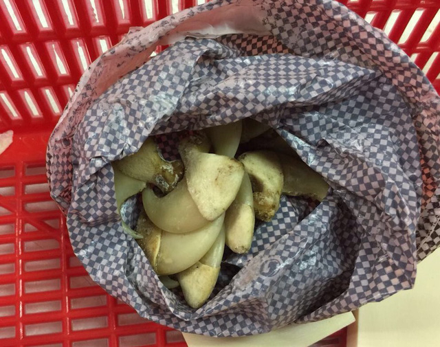 TP HCM: Ph&aacute;t hiện vụ vận chuyển đu&ocirc;i voi, da b&aacute;o gấm qua s&acirc;n bay