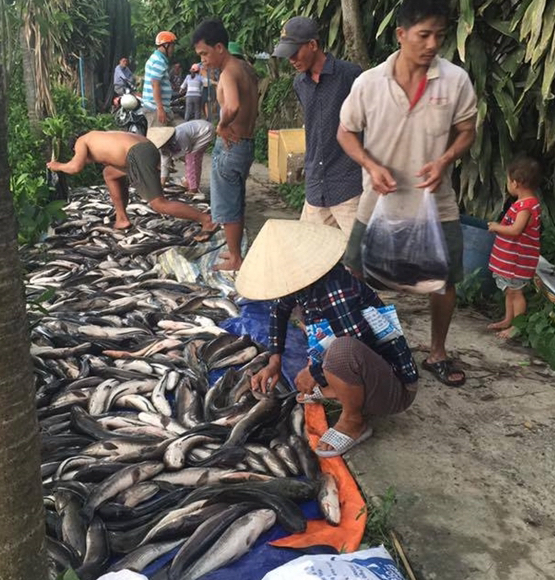 Người th&acirc;n, h&agrave;ng x&oacute;m đến chia sẻ với gia đ&igrave;nh anh Du.