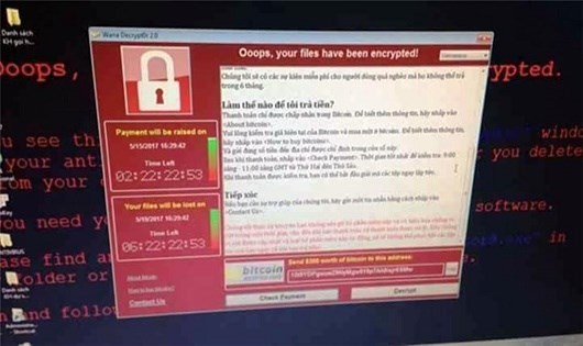 C&aacute;ch ph&ograve;ng tr&aacute;nh v&agrave; xử l&yacute; khi m&aacute;y t&iacute;nh bị m&atilde; độc WannaCry tấn c&ocirc;ng