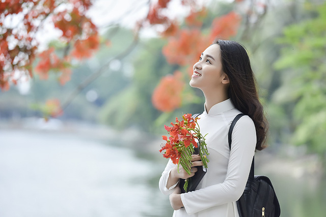 Nữ sinh tuổi 16 l&atilde;ng mạn b&ecirc;n ch&ugrave;m hoa phượng đỏ