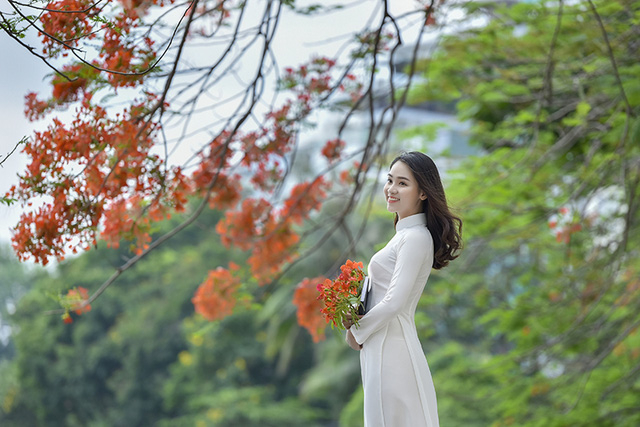 Nữ sinh tuổi 16 l&atilde;ng mạn b&ecirc;n ch&ugrave;m hoa phượng đỏ