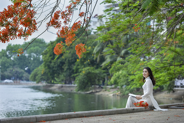 Nữ sinh tuổi 16 l&atilde;ng mạn b&ecirc;n ch&ugrave;m hoa phượng đỏ