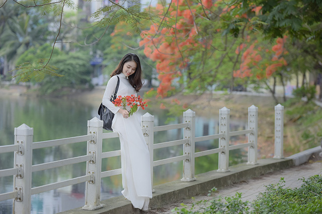 Nữ sinh tuổi 16 l&atilde;ng mạn b&ecirc;n ch&ugrave;m hoa phượng đỏ