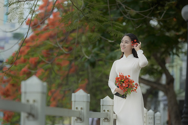 Nữ sinh tuổi 16 l&atilde;ng mạn b&ecirc;n ch&ugrave;m hoa phượng đỏ