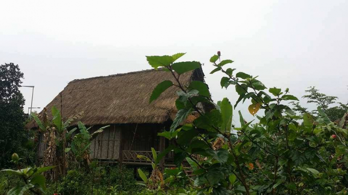 Chiếc nh&agrave; s&agrave;n bỏ hoang kh&ocirc;ng người sinh sống xuống cấp, cỏ mọc um t&ugrave;m g&acirc;y thiếu mĩ quan của khu du lịch.