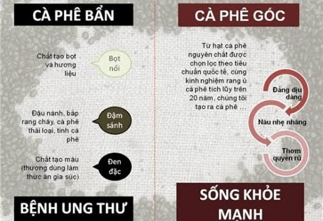 Cách phân biệt "cà phê sạch" và "cà phê bẩn"