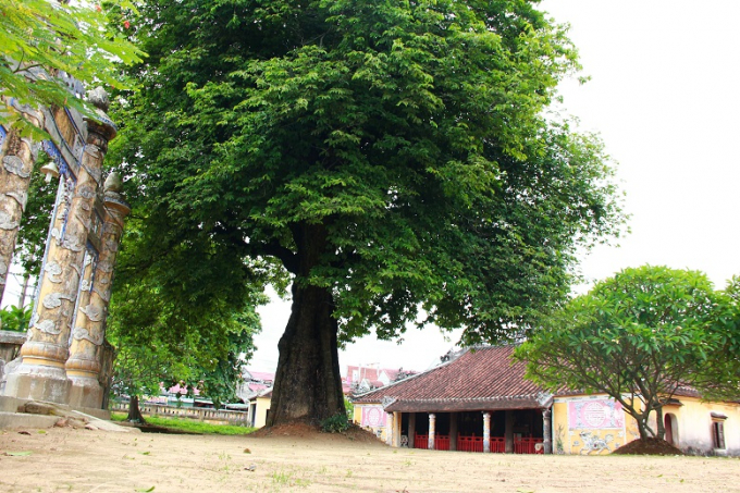 Đ&igrave;nh l&agrave;ng Dương Nỗ, nơi gắn liền với tuổi thời B&aacute;c.