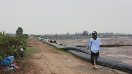 Ảnh minh họa (internet).