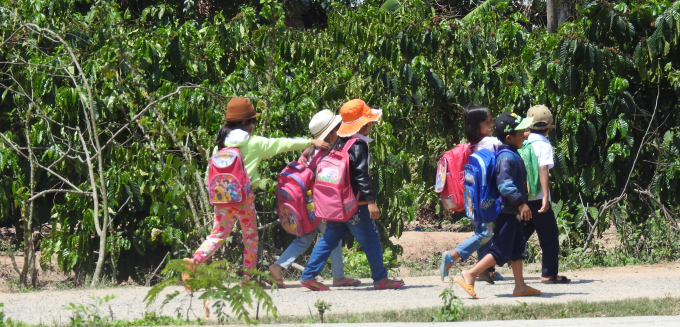 Học sinh bỏ học đi l&agrave;m sớm ở huyện Kr&ocirc;ng B&ocirc;ng đ&atilde; dần dần quay lại lớp học