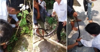 [Clip]: "Cao thủ sơ mi trắng" tay không túm cổ hổ mang chúa