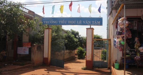 Gia Lai: Nữ kế toán dùng nhiều thủ đoạn chiếm dụng hàng trăm triệu đồng