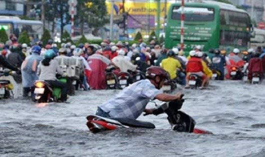 Chống ngập ở TP HCM: Chỉ gắn camera th&ocirc;i, kh&ocirc;ng đủ