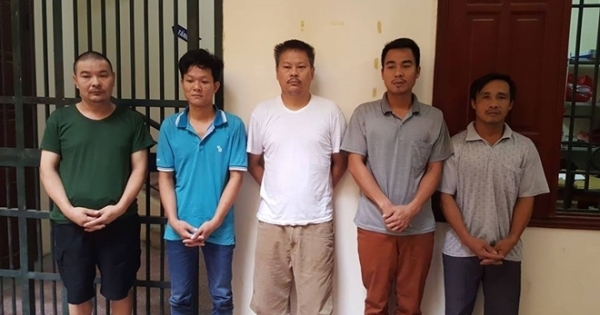 Hà Nội: Mua hổ sống 1 tỷ đồng từ Nghệ An mang ra Hà Nội nấu cao