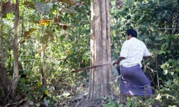 Myanmar: Gian nan cuộc chiến chống...cưa máy