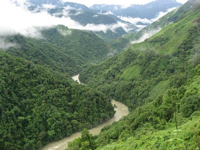 Vườn quốc gia Alaungdaw Kathapa, l&agrave; khu vườn quốc gia lớn nhất đất nước Myanmar với diện t&iacute;ch l&ecirc;n đến 1.605km2&nbsp;