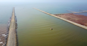 Cửa biển giải cứu 