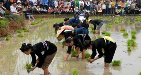 H&igrave;nh ảnh tại lễ hội xuống đồng.