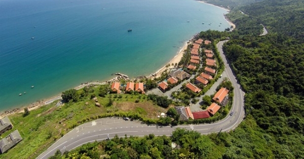 Đà Nẵng phản hồi 4 kiến nghị về Sơn Trà như thế nào?