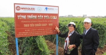 Người tiểu đường hoang mang trước ma trận sản phẩm trị bệnh