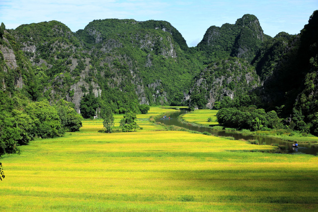 Đến nơi đ&acirc;y, du kh&aacute;ch được du thuyền tr&ecirc;n d&ograve;ng s&ocirc;ng Ng&ocirc; Đồng h&ograve;a m&igrave;nh v&agrave;o vẻ đẹp huyền b&iacute; kh&aacute;m ph&aacute; sự kỳ b&iacute; của thi&ecirc;n nhi&ecirc;n.&nbsp;Những c&aacute;nh đồng l&uacute;a tại đ&acirc;y chỉ trồng được một vụ chi&ecirc;m, l&uacute;a sẽ ch&iacute;n rộ v&agrave;o dịp cuối th&aacute;ng 5, đầu th&aacute;ng 6 trong khoảng thời gian hai tuần.