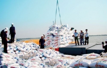 Bỏ chế độ cấp phép nhập khẩu tự động đối với phân bón kể từ ngày 13/7