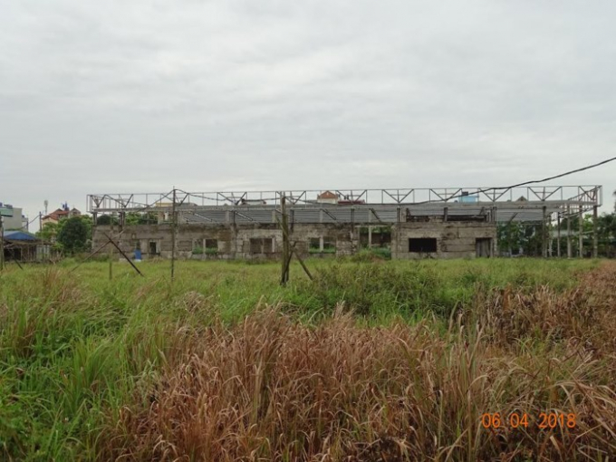 Cỏ dại mọc um t&ugrave;m tr&ecirc;n đất của DA, l&atilde;ng ph&iacute; rất lớn t&agrave;i nguy&ecirc;n đất đai trong lĩnh vực x&acirc;y dựng cơ bản.