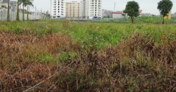 Dự án Trung tâm phân phối ô tô Huyndai chậm tiến độ, xót xa đất vàng bỏ hoang?