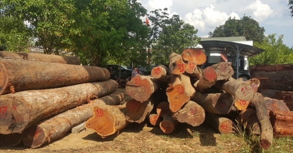 Sẽ xác minh có việc cán bộ nhận tiền của Phượng "râu" hay không?