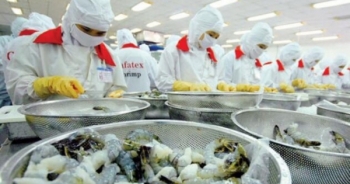 Xuất khẩu hàng sang EU, DN phải tự chứng nhận xuất xứ