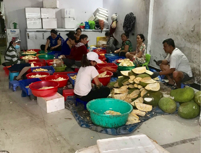 Cơ sở chế biến ch&egrave; của b&agrave; Dung d&ugrave;ng nguy&ecirc;n liệu kh&ocirc;ng c&oacute; nguồn gốc r&otilde; r&agrave;ng. Ảnh: H.N.