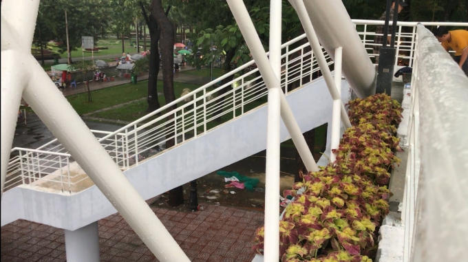 Việc cầu vượt bộ h&agrave;nh đi v&agrave;o hoạt động sẽ gi&uacute;p giao th&ocirc;ng qua khu vực được th&ocirc;ng tho&aacute;ng hơn