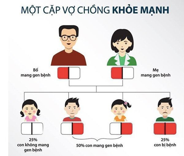 2 vợ chồng c&ugrave;ng mang gen lặn Thalassemia c&oacute; nguy cơ sinh ra nhiều đứa trẻ bị bệnh (Vietnamnet.vn)